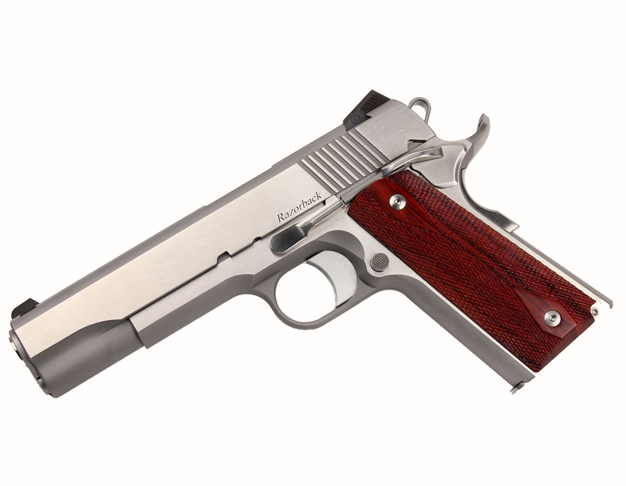 Dan Wesson Razorback RZ-10, 10mm, SS