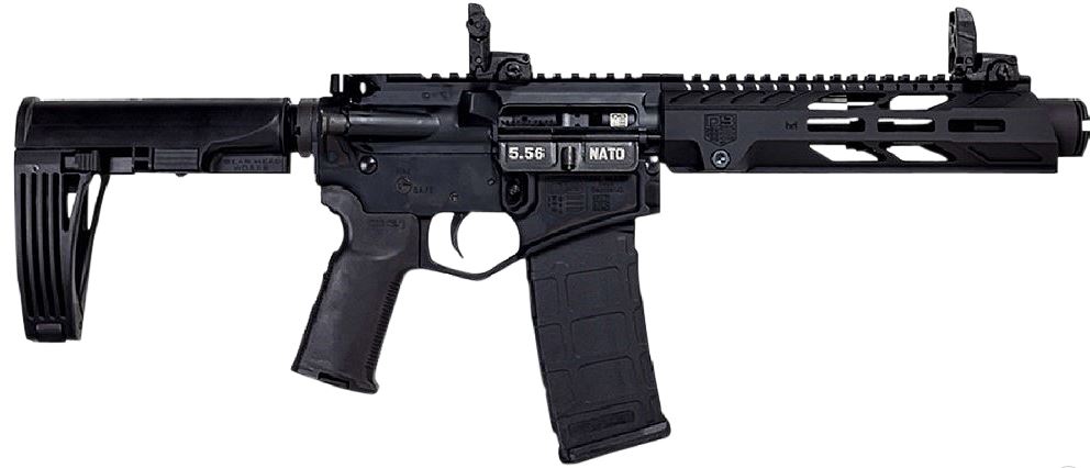 Diamondback DB15PDS10B DB15 5.56x45mm NATO 10