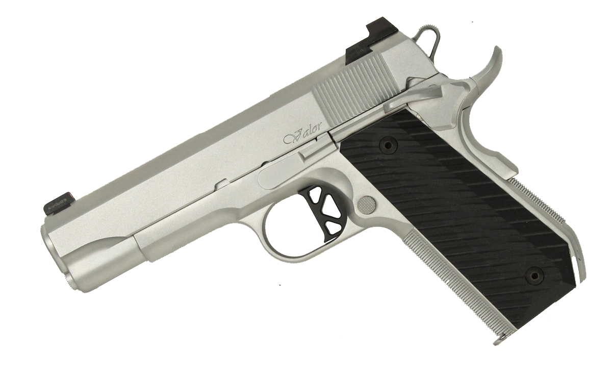 Dan Wesson V-Bob, .45ACP