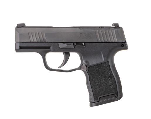 Sig Sauer P365 .380AUTO