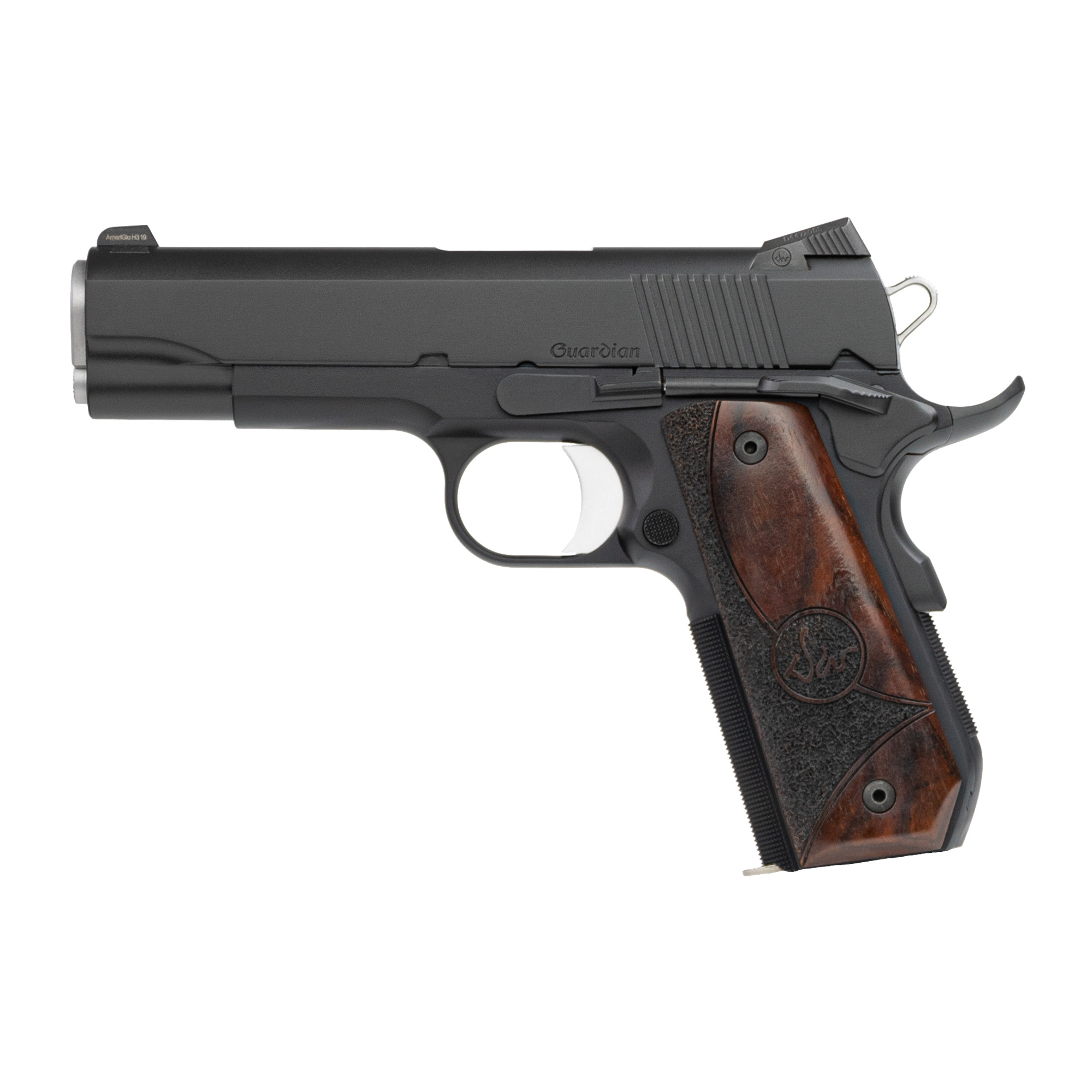 Dan Wesson Guardian, 9mm, Black