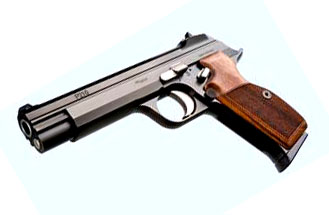 Sig Sauer P210 Legend 9mm, Standard Sights