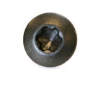 SIG Grip Screw, Torx Head - P229 40/357