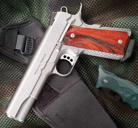 Ed Brown Special Forces, 5 inch, .45ACP, Stainless Steel, Night Sights, Bobtail, Ambi-Safety