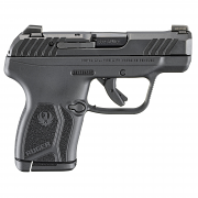 Ruger LCP Max NMS, .380 Ruger LCP Max NMS, .380