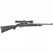 Ruger 10/22 Carbine, .22LR w/ Veridian 3-9x40mm