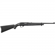 Ruger 10/22 Carbine, .22LR