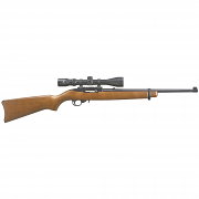 Ruger 10/22 Carbine, .22LR Hardwood w/ Viridian 3-9x40mm