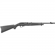 Ruger 10/22 Takedown - .22LR